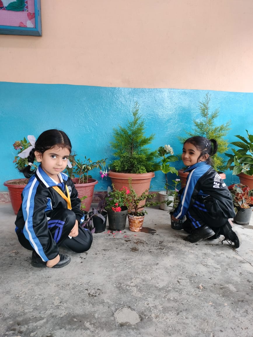 Plantation Drive 